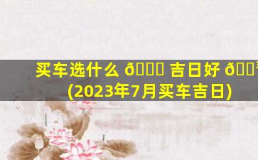 买车选什么 🐅 吉日好 🌳 (2023年7月买车吉日)